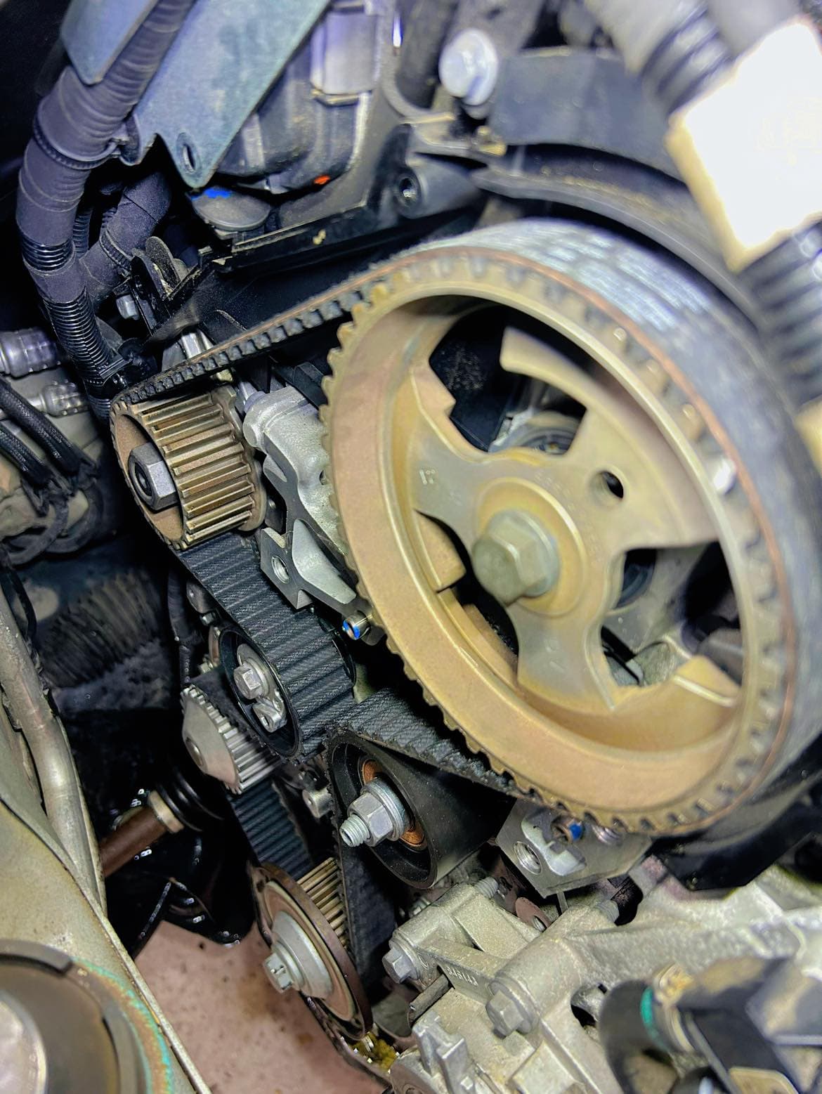 Courroie de distribution et poulie de calage